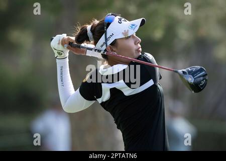 Los Angeles, Kalifornien, USA. 27. April 2023. Der LPGA-Spieler Atthaya Thitikul legt am 27. April 2023 während der ProAm für die JM Eagle Championship von Plastro auf dem 13. Loch im Wilshire Country Club ab. (Kreditbild: © Mark Edward Harris/ZUMA Press Wire) NUR REDAKTIONELLE VERWENDUNG! Nicht für den kommerziellen GEBRAUCH! Stockfoto