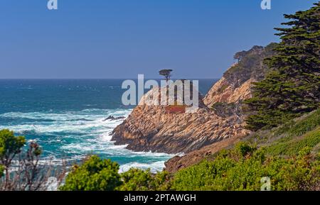 Monterey Cypress an einer Rocky Coast im Point Lobos State Natural Reserve in Kalifornien Stockfoto