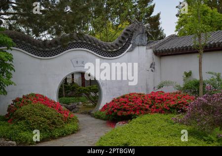 HAREN, NIEDERLANDE - 23. MAI 2022: Wunderschöner Blick auf das Mondtor im chinesischen Garten Stockfoto