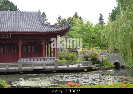 HAREN, NIEDERLANDE - 23. MAI 2022: Wunderschöner Blick auf das orientalische Gebäude in der Nähe des Teiches im chinesischen Garten Stockfoto