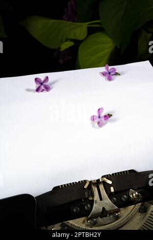 Alte Schreibmaschine, Blatt Papier und Flieder Stockfoto