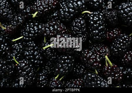 Reife schwarze Maulbeeren als Hintergrund, Draufsicht Stockfoto