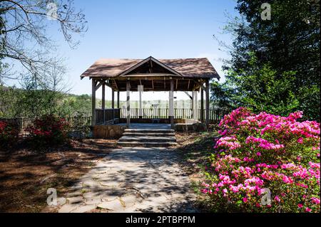 Im Tallulah Gorge State Park in Tallulah Falls, Georgia, könnt ihr den von rosa Blumen umgebenen Pavillon bewundern Stockfoto