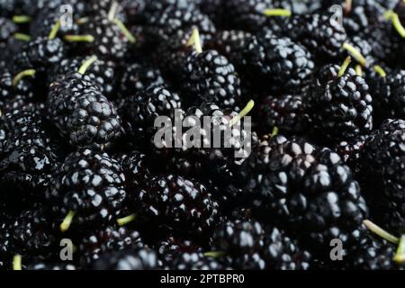 Frische reife schwarze Maulbeeren als Hintergrund, Nahaufnahme Stockfoto