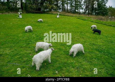 Schafe aus alten Angelschlangen im San Juan Islands Sculpture Park in der Nähe des Hafens von Roche auf den San Juan Islands im Bundesstaat Washington, USA. Stockfoto