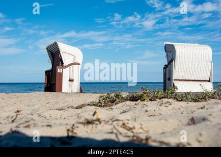 Weiße traditionelle Korbkörbe am Sandstrand mit Ostsee, auf Poel, Deutschland Stockfoto
