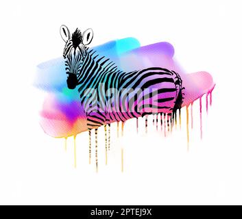 Schickes Zebra mit bunten Streifen und Aquarellen Stockfoto