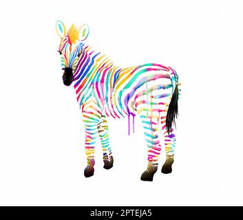 Schickes Zebra mit bunten Streifen und Aquarellen Stockfoto