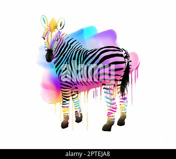 Schickes Zebra mit bunten Streifen und Aquarellen Stockfoto