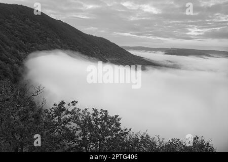 Nebel steigt auf den Bergen der kleinen Saarschleife. Mystische Stille an der Saar im Saarland. Stockfoto