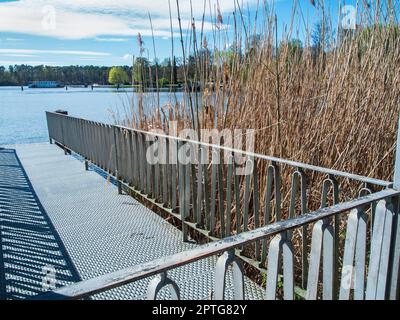 Ausblick auf die Landschaft über eine Bootsanlegestelle mit Metallzaun neben Schilfpflanzen am Flakensee bei Woltersdorf in Brandenburg. Stockfoto