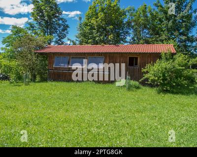 Frontansicht der langen Seite mit drei Glasfenstern eines Imkerhauses in Bayern auf einer grünen Wiese mit einer Baumgruppe im Hintergrund darunter Stockfoto