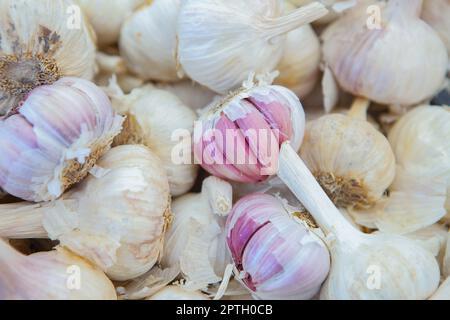 Spanische rosa Knoblauchzwiebeln. Ausgestellt am Straßenmarktstand Stockfoto