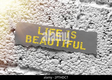 Handschriftschild das Leben ist schön, Geschäftsübersicht Gehen Sie zu Abenteuerurlaub, genießen und entspannen Sie sich, um die Natur jeden Moment zu befriedigen Stockfoto