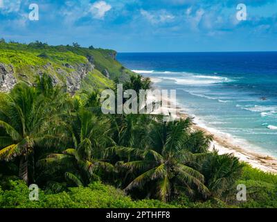 Henderson Island, eine hochgezogene Koralleninsel, die in der Pitcairn-Gruppe im Südpazifik zu finden ist Stockfoto