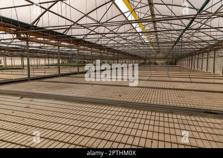 Leeres Gewächshaus mit Bewässerungssystem. Hintergrund des Agrargeschäfts Stockfoto
