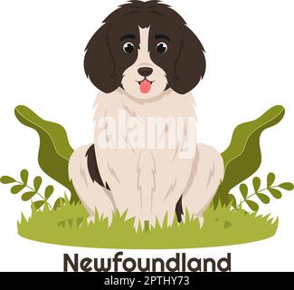 Neufundland Hund Tiere mit Schwarz, Braun oder Landseer Farbe in flachem Stil Cute Cartoon Template Handgezeichnete Illustration Stock Vektor