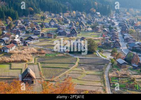 Die berühmten Bauernhäuser im Dorf Shirakawa-go, Japan Stockfoto