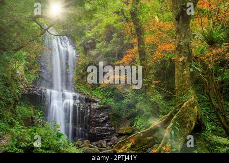 Der Yunsen-Wasserfall im Herbst, drei Schluchten, New Taipei City, Taiwan Stockfoto