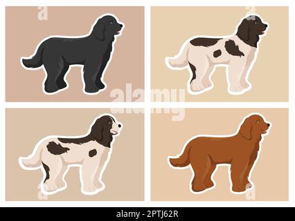 Neufundland Hund Tiere mit Schwarz, Braun oder Landseer Farbe in flachem Stil Cute Cartoon Template Handgezeichnete Illustration Stock Vektor