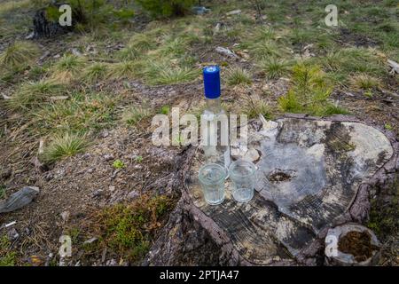 Abfälle im Wald, leere Flaschen und zwei Trinkgläser. Stockfoto