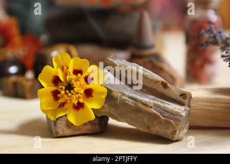 Gelbe Blumen auf versteinerten Holz mit Steinkristallen und Weihrauch Cone Shallow DOF Stockfoto