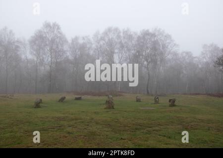 Neun Damen im Nebel Stockfoto