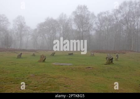 Neun Damen im Nebel Stockfoto