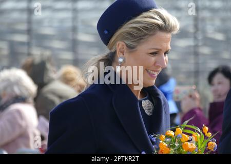 tanzende Königin Maxima in holländischen Tulpen Stockfoto