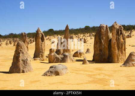 Australische Pinnacles im Nambung-Nationalpark, Westaustralien. Stockfoto