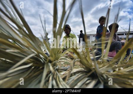 Srinagar, Indien, 27/04/2023, die Sommerhauptstadt des von Indien verwalteten Kaschmir, ein indischer Migrant aus Rajasthan droht mit Palmen, um am 27 2023. April Besen am Straßenrand zu machen. In den letzten drei Jahrzehnten hat Kaschmir einen beispiellosen Zustrom von einkommensschwachen Migranten aus verschiedenen Regionen Indiens erlebt. Viele von ihnen tragen immer noch das Stigma der Unberührbarkeit und der geringen Kastendegradation und leben in Armut mit eingeschränktem Zugang zu Bildung und sanitären Lebensbedingungen. Familien insgesamt, oft aus dem indischen Bundesstaat Rajasthan, arbeiten an handgefertigten Besen aus Bambus und Datteln Stockfoto