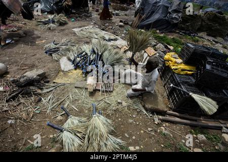 Srinagar, Indien, 27/04/2023, die Sommerhauptstadt des von Indien verwalteten Kaschmirs, Familie eines indischen Migranten aus Rajasthan drosselt mit Palmen, um am 27 203. April Besen am Straßenrand zu machen. In den letzten drei Jahrzehnten hat Kaschmir einen beispiellosen Zustrom von einkommensschwachen Migranten aus verschiedenen Regionen Indiens erlebt. Viele von ihnen tragen immer noch das Stigma der Unberührbarkeit und der geringen Kastendegradation und leben in Armut mit eingeschränktem Zugang zu Bildung und sanitären Lebensbedingungen. Familien als Ganzes, oft aus dem indischen Staat Rajasthan, arbeiten, um Besen aus Bambus handzubereiten Stockfoto