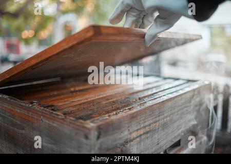 Holzkiste, Rauch- und Bienenzucht, Produktionsprozess für Honig und Naturprodukte mit Herstellung im Freien. Imker, Hand und Handschuh zur Sicherheit, Biene Stockfoto