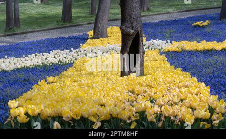 Im Park erwarten Sie farbenfrohe Tulpen und Hyazinthen Stockfoto