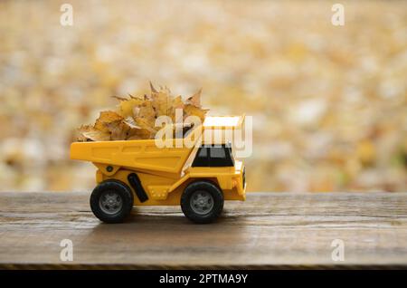 Ein kleines Spielzeug gelbe Lkw ist mit gelben Laub geladen. Das Auto steht auf einem Holz- Oberfläche vor dem Hintergrund einer verschwommenen Herbst Park. Cleanin Stockfoto