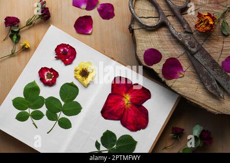 Flache Liegezusammensetzung mit schönen frischen und getrockneten Blumen auf Holztisch Stockfoto