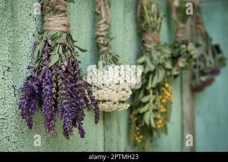 Schornsteine verschiedener, schöner, getrockneter Blumen hängen an einem Seil nahe einer alten Holzwand Stockfoto