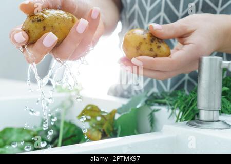 Weibliche gepflegte Hände waschen frische Kartoffeln unter Wasserstrahl in der Küchenspüle. Dreckiges rohes Gemüse mit grünem Transport. Kochen, Zutaten zubereiten Stockfoto