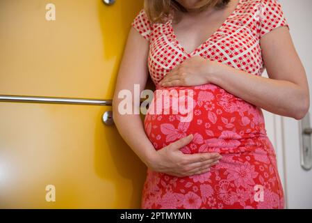 Mittelteil einer schwangeren Frau, die ihren Bauch vor einem Schrank in ihrem Wohnzimmer in München, Bayern, Deutschland hält Stockfoto