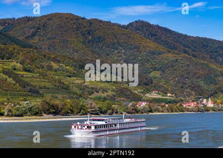 Schwallenbach an der Donau, UNESCO, Wachau, Niederösterreich, Österreich Stockfoto