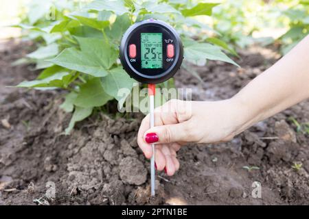 Bodentemperatur, Feuchtigkeitsgehalt, Umgebungsfeuchte und Beleuchtungsmessung im Gemüsegarten Stockfoto