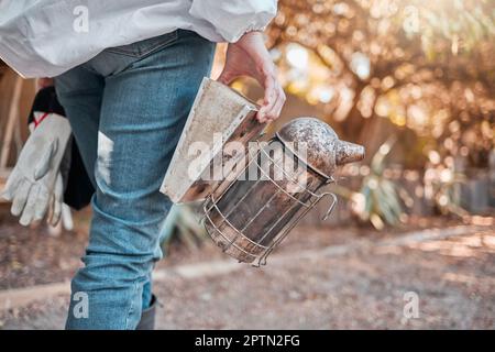 Imker, Bauernhof und Bienenstöcke im Freien mit psa, Handschuhen oder Sicherheit in der Imkerei. Bienenzucht, Landwirtschaft oder Insektenzucht für Stockfoto