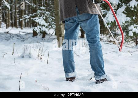 Junger Mann mit einer Säge im Wald im Winter, Bayern, Deutschland Stockfoto