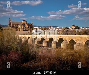 Panoramablick auf die römische Brücke und Moschee von Cordoba Stockfoto