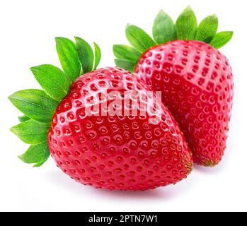 Zwei reife Erdbeeren, isoliert auf weißem Hintergrund. Stockfoto