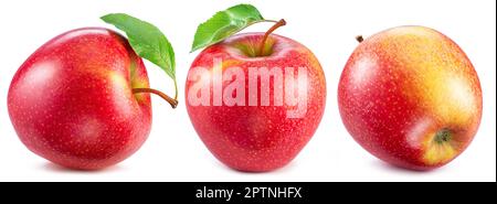 Satz reifer roter Äpfel, isoliert auf weißem Hintergrund. Stockfoto