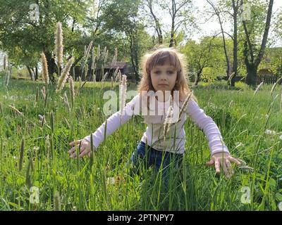 Mädchen auf der Wiese. Seidenartiges grünes Gras umgibt das Kind. Das Konzept der Ökologie und Harmonie mit der Natur. Süßes Mädchen berührt die Pflanzen mit ihr Stockfoto