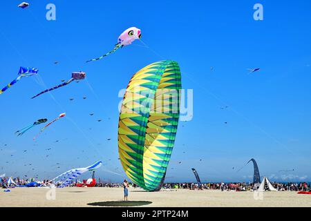 Bild einer Versammlung von vielen Drachen am Strand in Pinarella di Cervia. Pinarella di Cervia, Ravenna, Italien Stockfoto