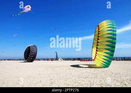 Bild einer Versammlung von vielen Drachen am Strand in Pinarella di Cervia. Pinarella di Cervia, Ravenna, Italien Stockfoto