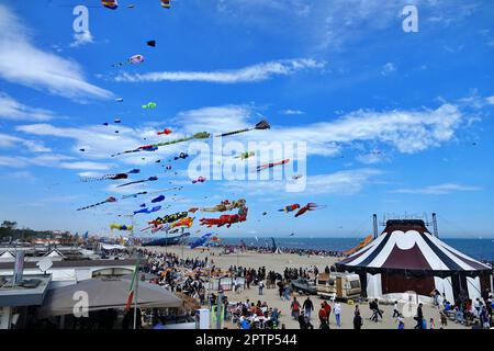 Bild einer Versammlung von vielen Drachen am Strand in Pinarella di Cervia. Pinarella di Cervia, Ravenna, Italien Stockfoto